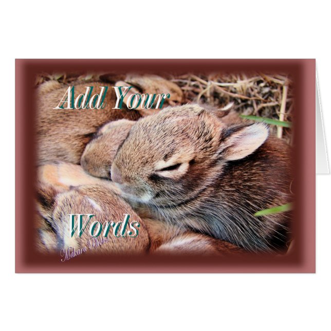 Bunch of Bunnies-any occasion-customise (Front Horizontal)