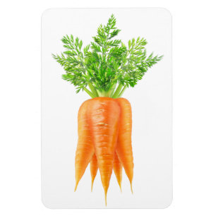 Bunch of carrots magnet