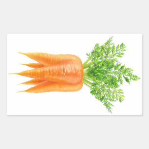 Bunch of carrots rectangular sticker