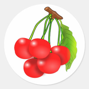 Bunch of cherries classic round sticker