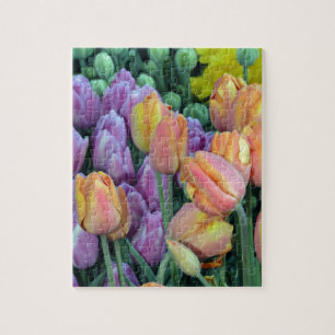 Bunch of colourful tulips jigsaw puzzle