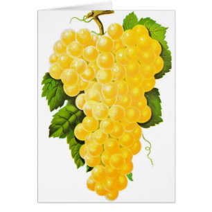 Bunch of Grapes