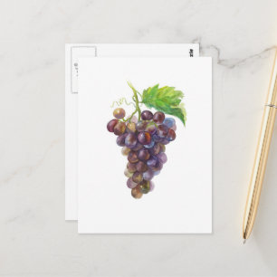 Bunch of Grapes Fruit Watercolor Painting Postcard