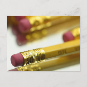 Bunch Of Pencils Postcard