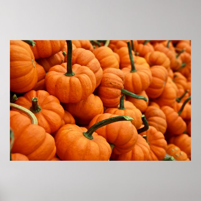 BUNCH OF PUMPKIN POSTER (Front)