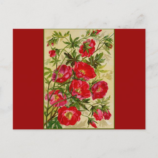 Bunch of Red Flowers Postcard (Front)