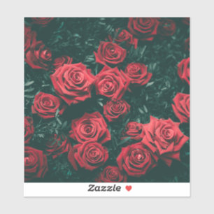 Bunch of red roses