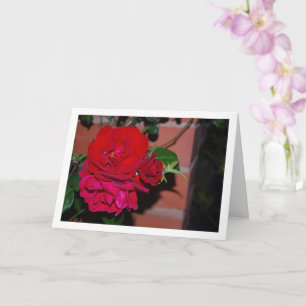 Bunch of Red Roses Card