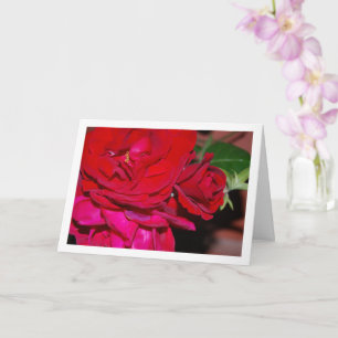 Bunch of Red Roses Card