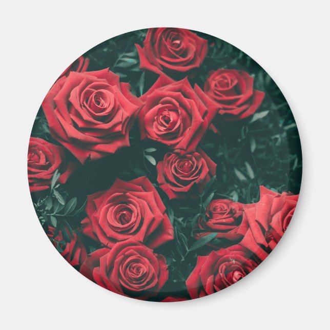 Bunch of red roses magnet (Front)