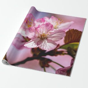 Bunch Of Stunning Sakura Flowers Of Pink Colours Wrapping Paper