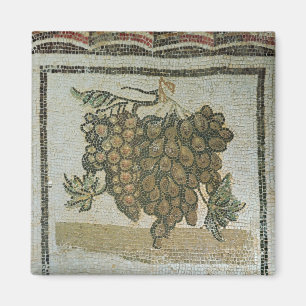 Bunch of white grapes, Roman mosaic Magnet