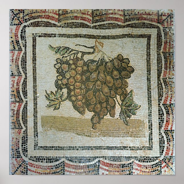 Bunch of white grapes, Roman mosaic Poster (Front)