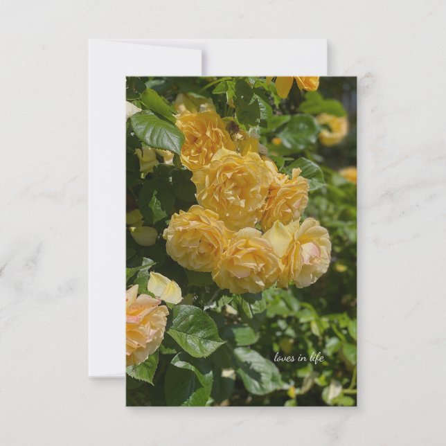 Bunch of Yellow Garden Roses Card (Front)