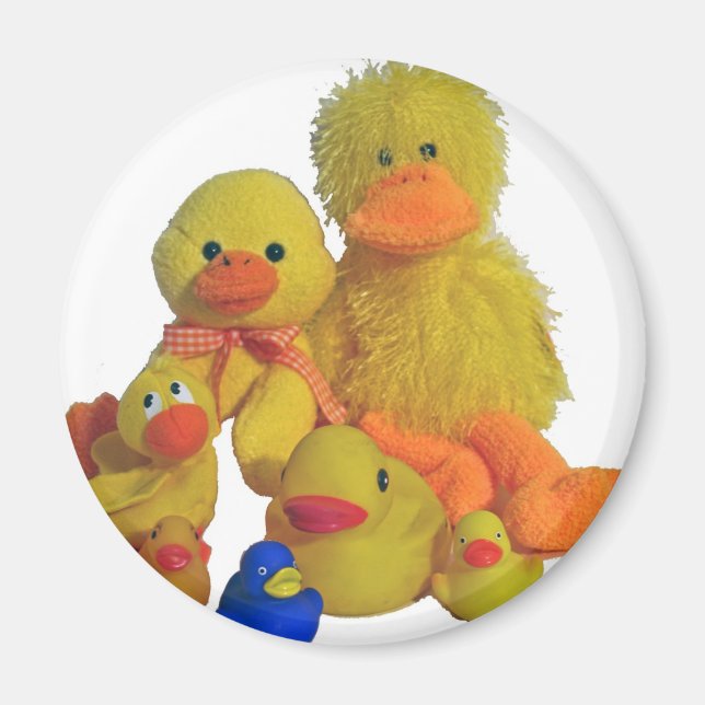 buncha ducks magnet (Front)