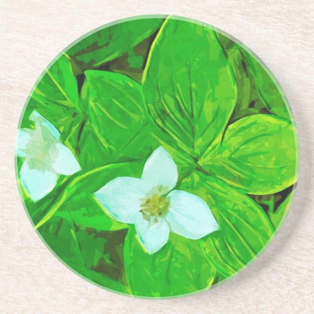 Bunchberry White Wildflower Abstract Coaster (Front)