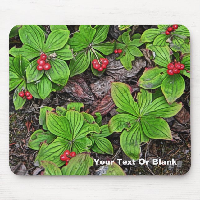 Bunchberry With Berries Mouse Mat (Front)