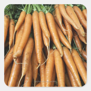 Bunches of carrots, full frame square sticker