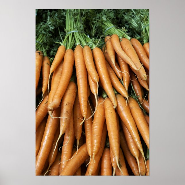 Bunches of carrots poster (Front)