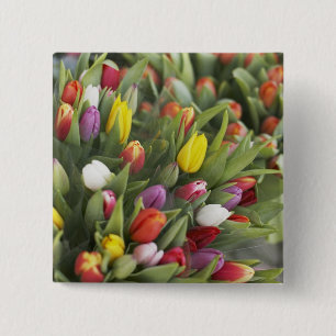 Bunches of colourful tulips 15 cm square badge