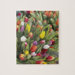 Bunches of colourful tulips jigsaw puzzle