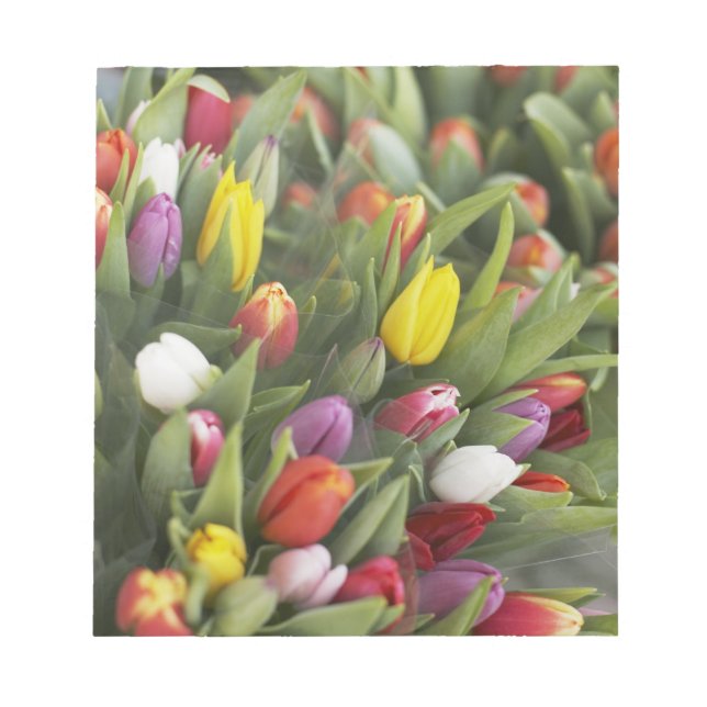 Bunches of colourful tulips notepad (Front)
