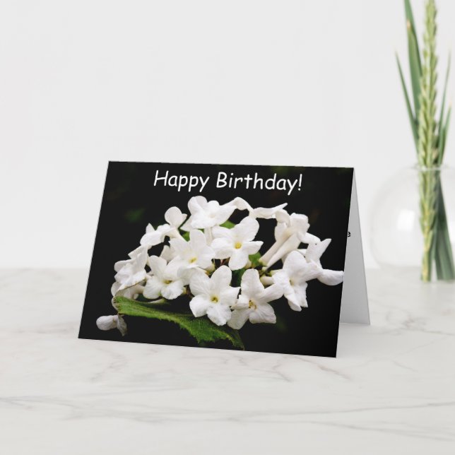 Bunches of white flowers card (Front)