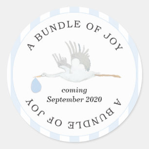 Bundle of Joy Baby Boy Stickers