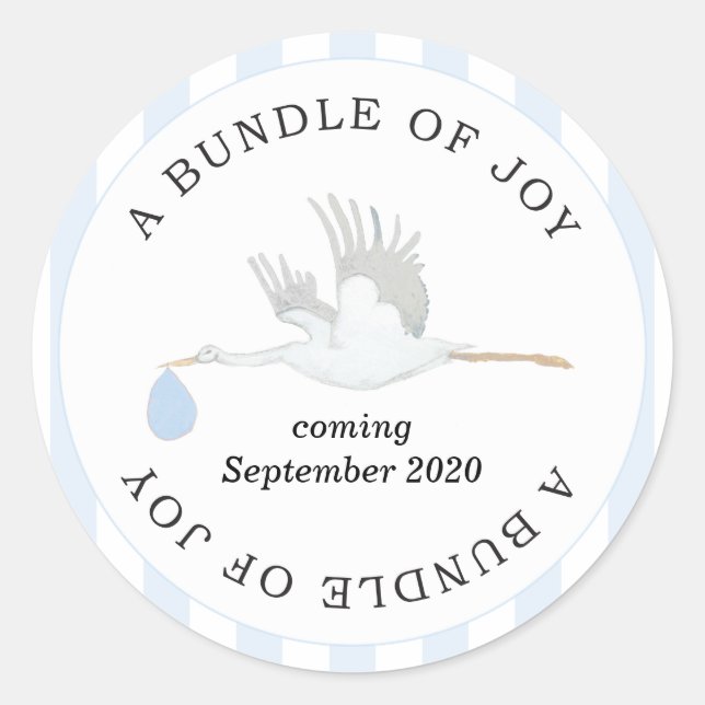 Bundle of Joy Baby Boy Stickers (Front)