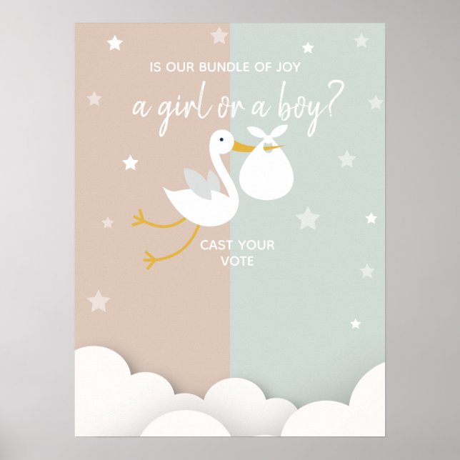 Bundle of Joy Stork Gender Reveal Voting Poster (Front)