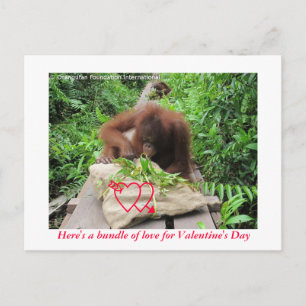 Bundle of Love for Valentine's Day Holiday Postcard
