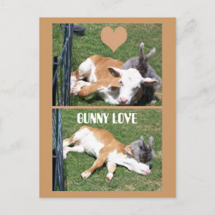 BUNNIE LOVES CALF POSTCARD