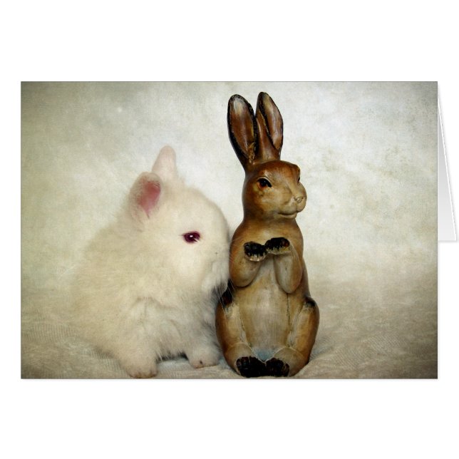 Bunnies (Front Horizontal)