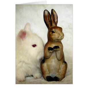 Bunnies