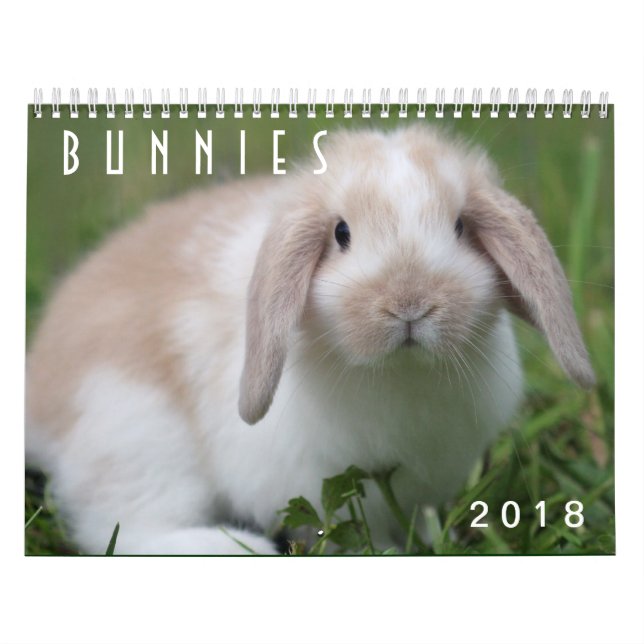 Bunnies 2018 - 12 Months of Cute Bunny Rabbits Calendar (Cover)