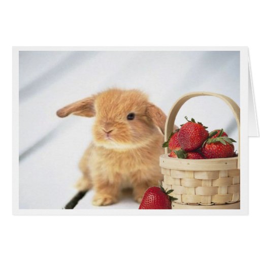 Image of Bunnies and Strawberries