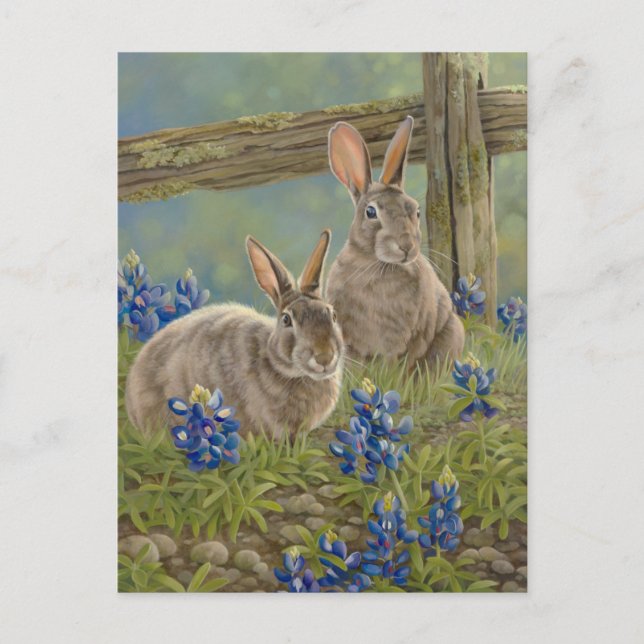 Bunnies & Bluebonnets Postcard (Front)