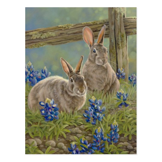 Bunnies & Bluebonnets Postcard