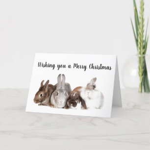 BUNNIES GOT TOGETHER TO SAY **MERRY CHRISTMAS** HOLIDAY CARD
