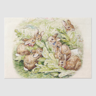 Bunnies in the Lettuce Patch by Beatrix Potter Tissue Paper