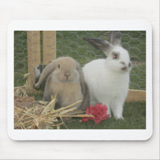 Bunnies Mouse Mat
