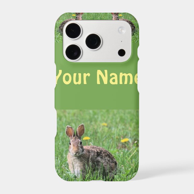 Bunny   (Back)