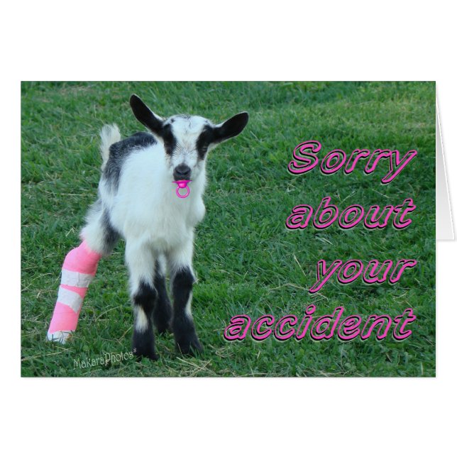 Bunny1375-customise (Front Horizontal)