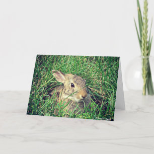 Bunny All Occasions Card