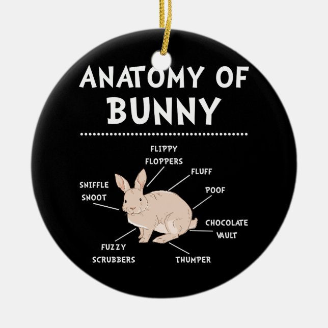 Bunny Anatomy Rabbit Lover Bunny Mum Ceramic Tree Decoration (Front)
