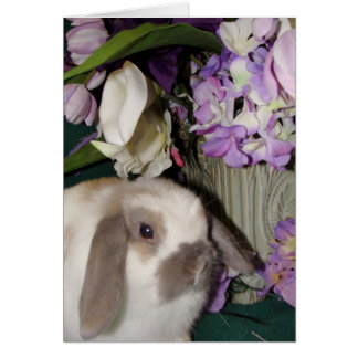 Bunny and Blooms 08
