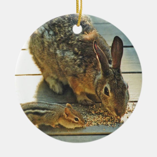 Bunny and Chipmunk Sharing Ceramic Tree Decoration (Front)