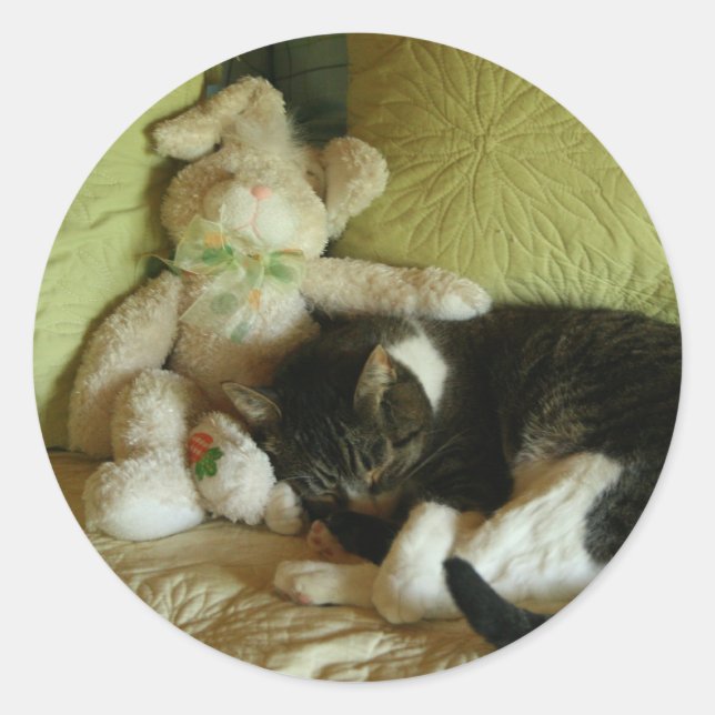 Bunny and kitty friend stickers (Front)