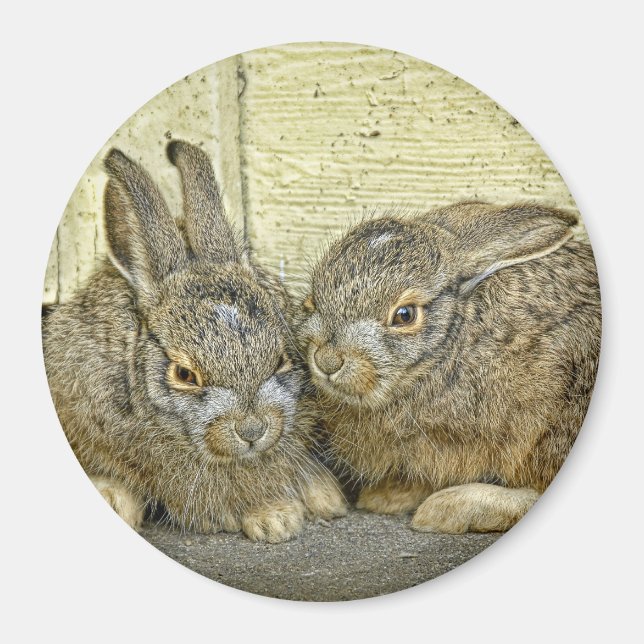 Bunny Babies (Wild) Magnet (Front)