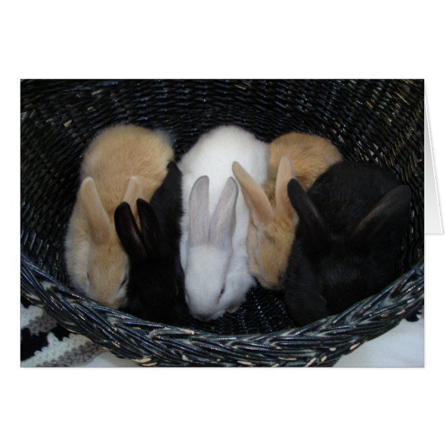 Bunny Basket (Front Horizontal)